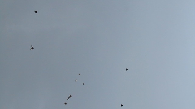 Изображение 001 смотреть онлайн