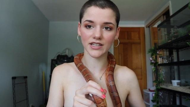 CORN SNAKES GET HOW BIG?!?! смотреть онлайн