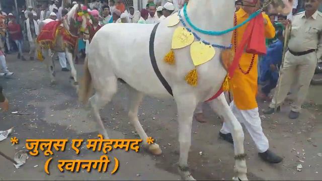Jasne Eid Milad Un Nabi Chhapara julus E Mohammadi Pinjari ward chhapra 2018 смотреть онлайн