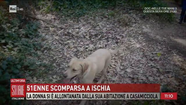51enne scomparsa a Ischia - Storie italiane 22/02/2024 смотреть онлайн