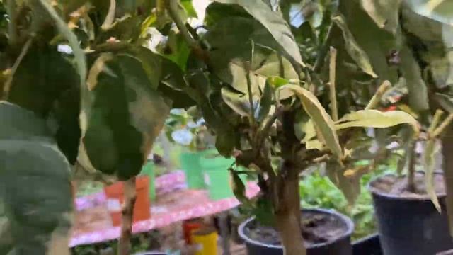 Обзор 31 мая часть 1 смотреть онлайн