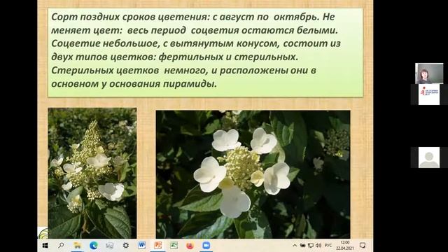 Ландшафтный дизайн смотреть онлайн
