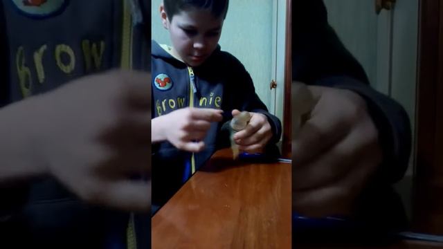 Как сделать мини пушку смотреть онлайн