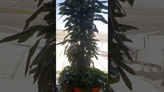 ЭХ , ПЕЧКИ -ЛАВОЧКИ...ТУРЕЦКИЕ смотреть онлайн