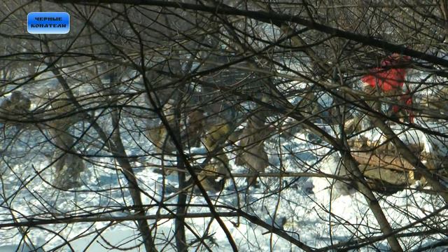 ДНЕВНИК НЕМЕЦКОГО СОЛДАТА / ЧАСТЬ 2 смотреть онлайн