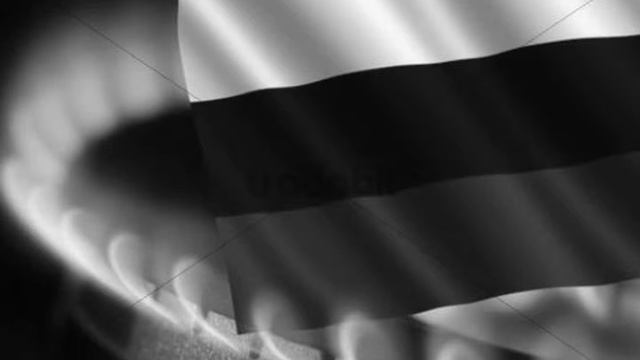 dj slon смотреть онлайн