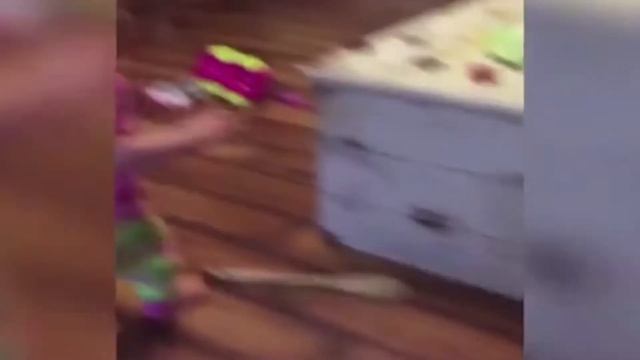 ТОЛСТЫЙ КОТ / КОТ СМЕШНО СПИТ / СОБАКА ВОЕТ ПОД МУЗЫКУ / СМЕШНЫЕ ЖИВОТНЫЕ