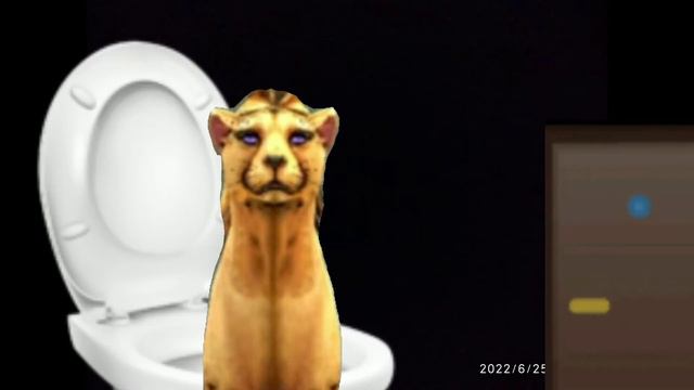 „Закрыто. Нет почему, открыто”