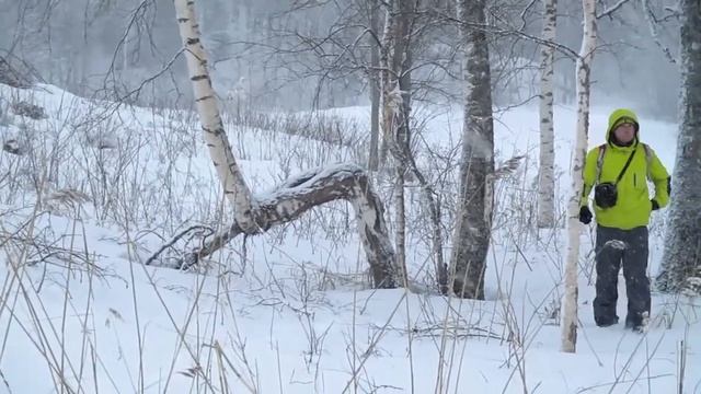 Северная Ладога 2019 смотреть онлайн