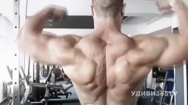 Бодибилдинг. Красота ценой неимоверных усилий. Body-building
