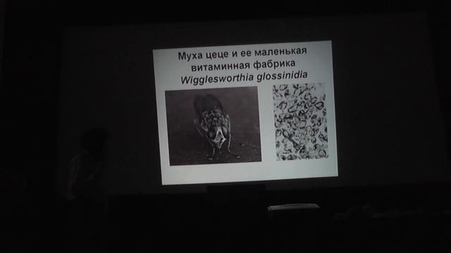 Мы и наши бактерии (Михаил Гельфанд) смотреть онлайн