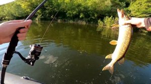 Первый тест Hearty Rise Team Dubna Tournament Limited TDT-772L | Открытие лодочного сезона 2023