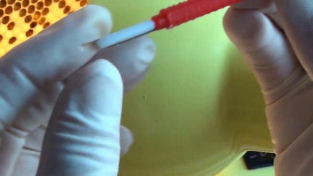 Прививка личинок для сбора маточного молочка смотреть онлайн