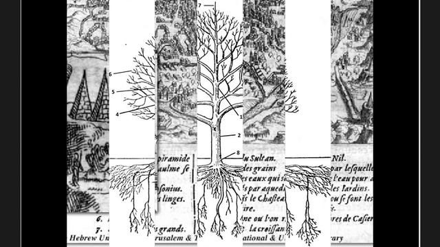 Пирамиды и звезды / Пирамиды на пнях гигантских деревьев смотреть онлайн