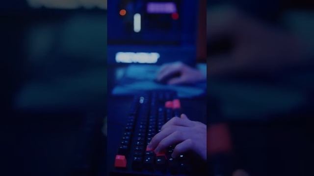 СКОЛЬКО Можно Заработать с Бота Для Aviso смотреть онлайн