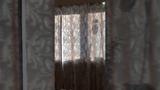 Кустодиева 17 шикарная квартира с отделкой свободной планировки смотреть онлайн