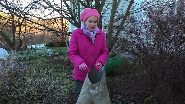 Защита деревьев от грызунов зимой. Защита плодовых деревьев от мышей. Защита яблонь от зайцев. смотреть онлайн