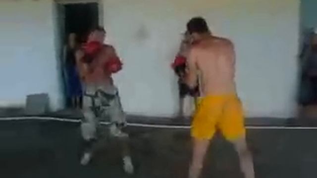 Бои Дагестанских боксеров.3gp смотреть онлайн