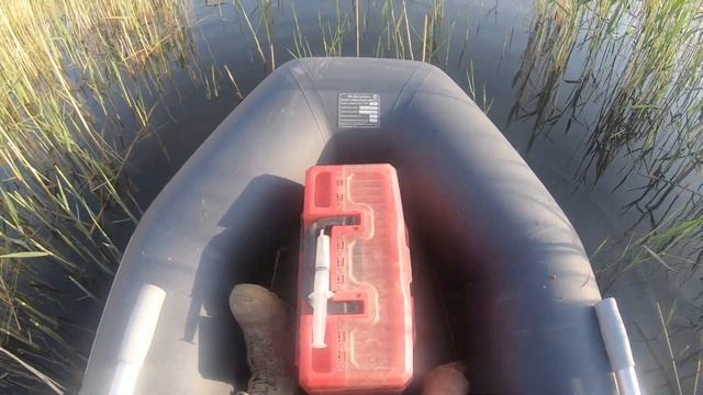 Первые караси этого сезона. Рыбалка в камышах. смотреть онлайн