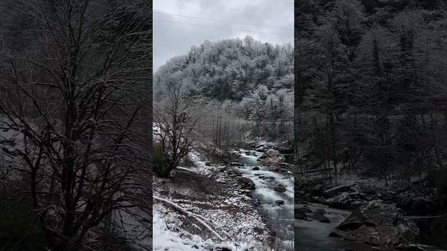 Вид на Реку Галидзга. #абхазия смотреть онлайн