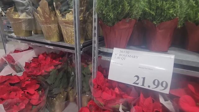 COSTCO & WALMART с Мамой БЕСПЛАТНЫЙ Лосось Муж- Добытчик смотреть онлайн
