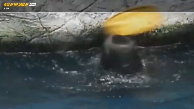 Play of the Game ➤ Spinning Otter |【Overwatch】 смотреть онлайн