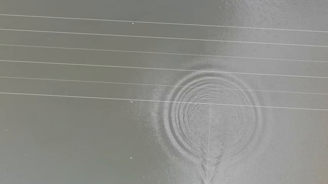 ПОЧЕМУ РЫБА НЕ КЛЮЁТ? Основная Ошибка Рыбаков При Кормлении. смотреть онлайн