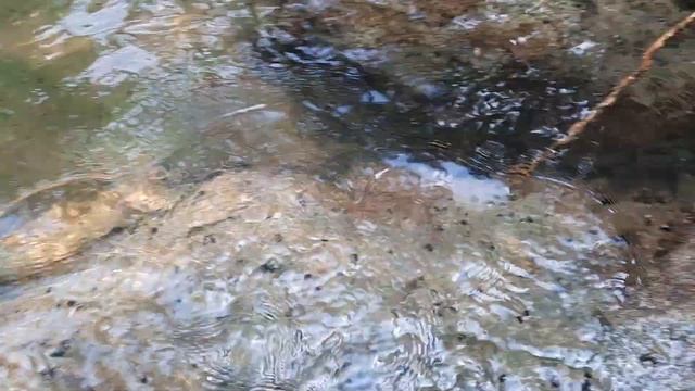 рыбалка в Крыму на американских окон в город Севастополь смотреть онлайн