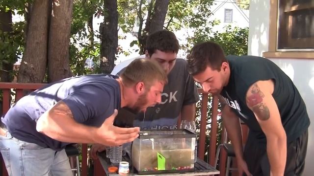 13 FISH VS 3 MANIACS смотреть онлайн