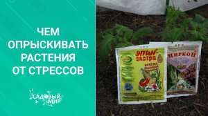 Чем опрыскивать растения от стрессов