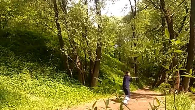 Палка разгоняющая собак. Удары ящерицы. смотреть онлайн