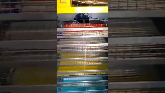 Инкубатор УФИ-БАРС. Отзыв о доставке. смотреть онлайн