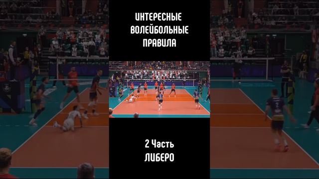 Возможности либеро согласно волейбольным правилам смотреть онлайн