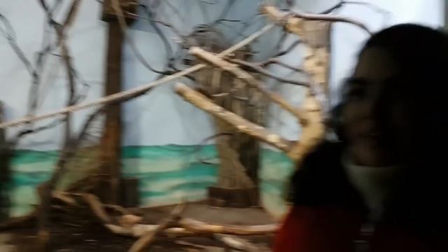 Отправляемся в путь | Литва - Польша