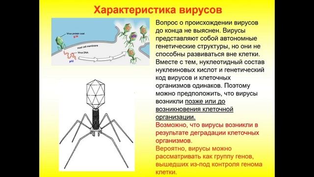 Прямая трансляция пользователя ШКОЛА 1448 Шуваловская смотреть онлайн