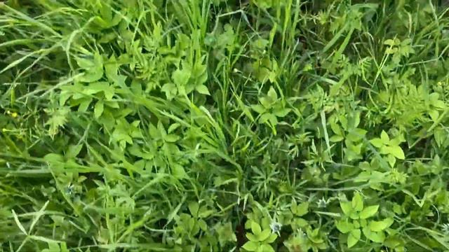 Жизнь прекрасна, если смотреть на неё глазами ребёнка! The Moments Of Happiness.