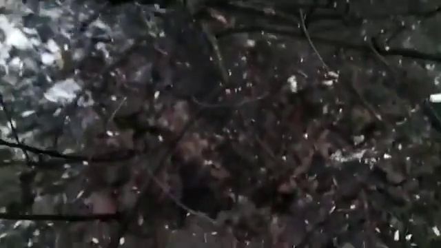 21 01 15 Последствие обстрела Г Стаханов смотреть онлайн