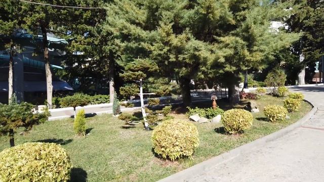 Зелёный гай - обзор территории санатория