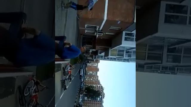 Лысый гребинь смотреть онлайн