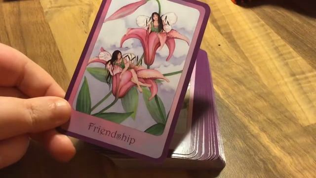 ?♂️ ? (OOP) WISDOM OF THE FAIRY REALM BY SASHA ST JOHN ??♂️ FLIP THROUGH смотреть онлайн