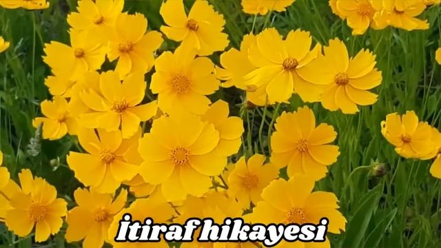 Eltim sürekli kocasının yatakdaki marifetlerini anlatınca olanlar oldu... смотреть онлайн