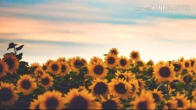 The neighbourhood - Middle of somewhere [Sub Español] смотреть онлайн