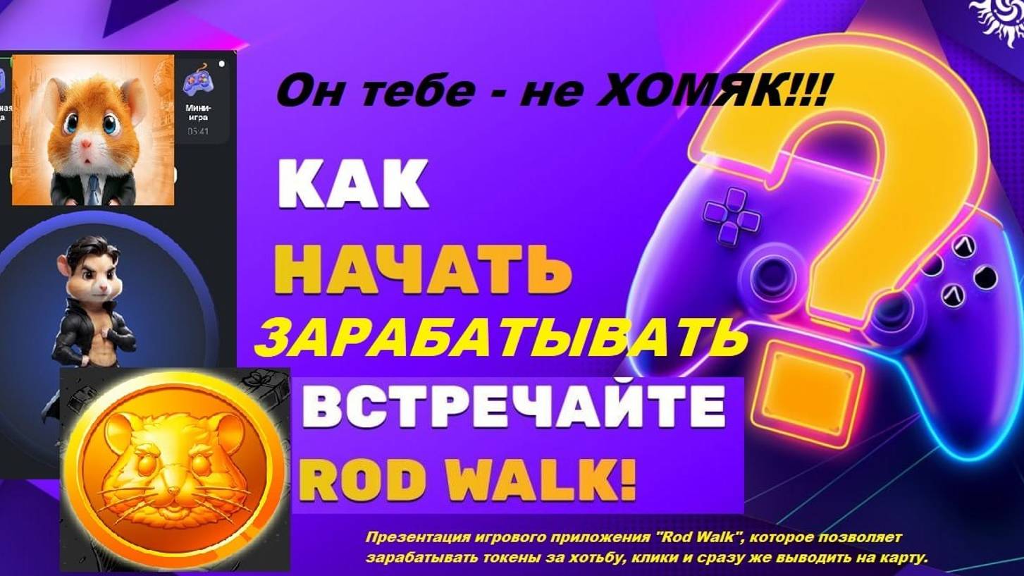Он тебе не #hamsterkombat хомяк! Презентация иновационного приложения ROD WALK для заработка.