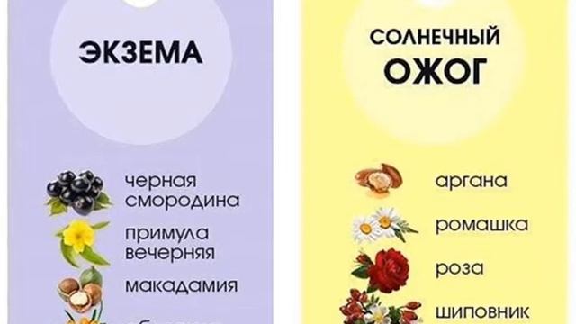Какое масло для лица подходит вашему типу кожи смотреть онлайн