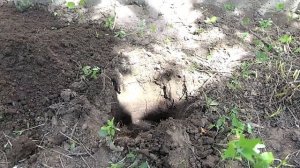 Брусья своими руками. Как сделать брусья подробная инструкция