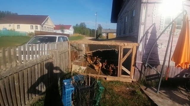 КУРЯТНИК, ВАЛЬЕР ИЗ ГОВНА И ПАЛОК СВОИМИ РУКАМИ ЗА 0 РУБЛЕЙ. смотреть онлайн