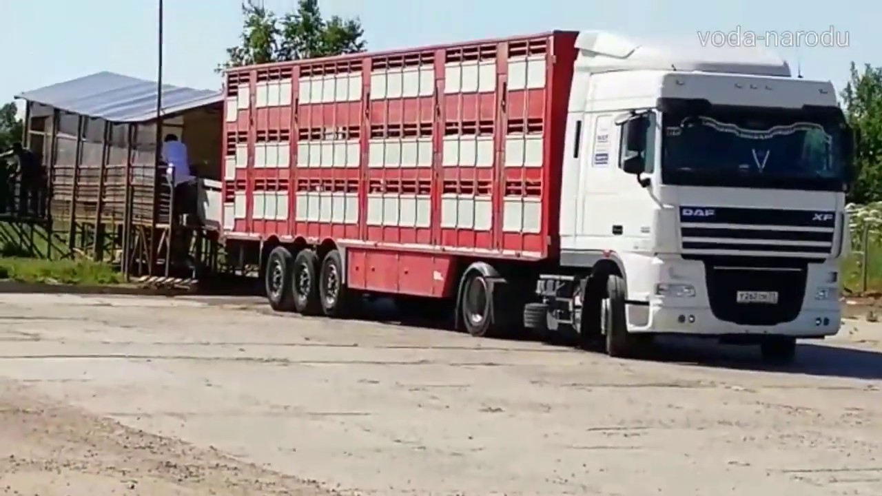 Монтаж насоса после ремонта скважины смотреть онлайн