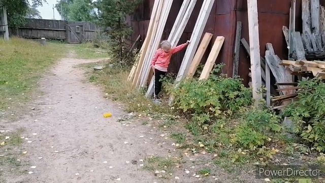 Покупки,мини пицца от детей , клеим обои. смотреть онлайн