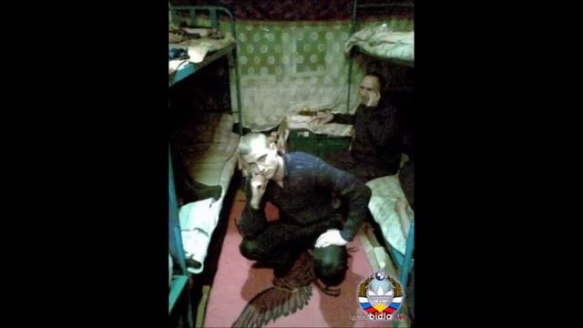 СИЗО. Как вести себя в следственном изоляторе. смотреть онлайн