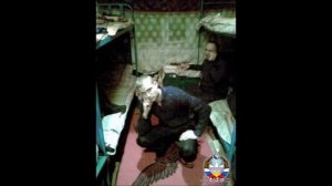 СИЗО. Как вести себя в следственном изоляторе.